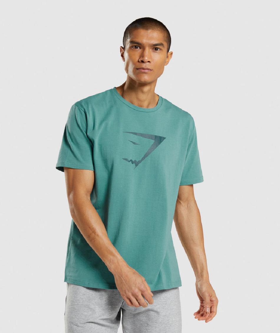 Gymshark Sharkhead Infill Muške T Shirts Tirkizne | HR 2378QMA